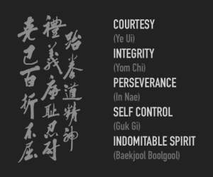 tenets of taekwondo